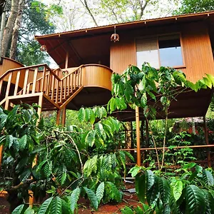 Resort Planet Plantation Resorts, Wayanad, Kerala, Kalpetta